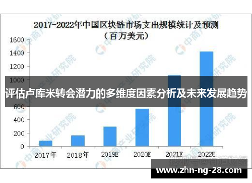 评估卢库米转会潜力的多维度因素分析及未来发展趋势