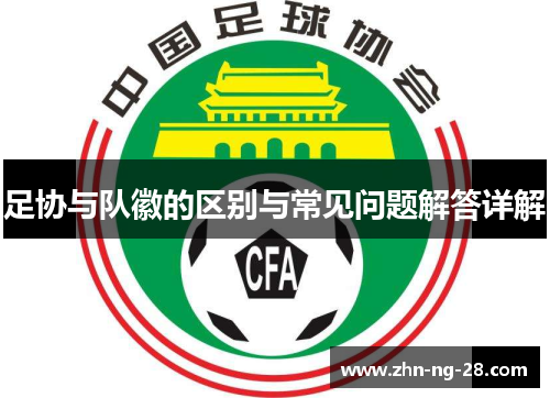 足协与队徽的区别与常见问题解答详解